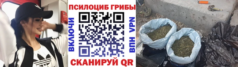 Купить где  Ставрополь  Галлюциногенные грибы ЛСД 